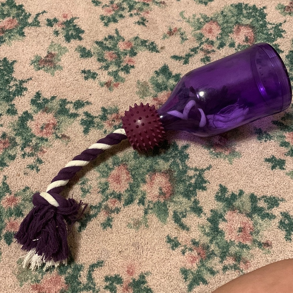 Large Dog Toy - Enrichment